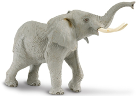 Afrikaanse olifant XXL  S111089