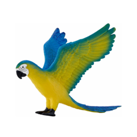 Blue yellow macaw   Mojo 381097  