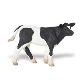 Holsteine calf S232729
