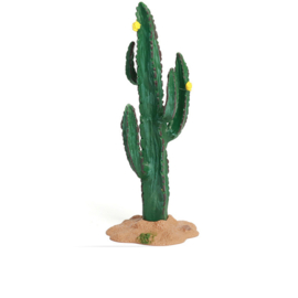 Cactus  gele bloemen