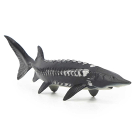 Sturgeon