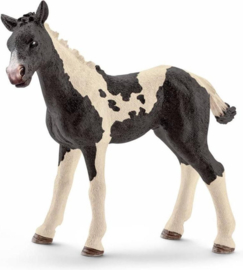 Pinto foal Schleich 13803