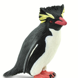 Rockhopper penguin  S100149