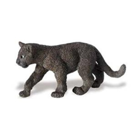 Black panther cub  Safari 294229