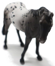 Appaloosa Blue Roan XL 1:20 CollectA 88947