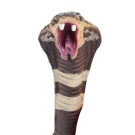 Cobra  Toymany