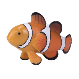 Clown fish  Mojo 387090