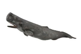 Sperm Whale   Collecta  88835