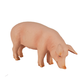 Pig  Mojo 387080