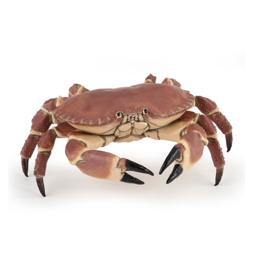 Crab Papo 56047