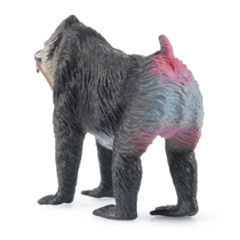 Mandril
