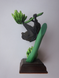 Bonin Vliegende hond  Kitan Club