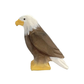 Arend Wudimals