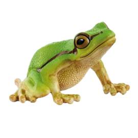 Europese boomkikker  Schleich 14882