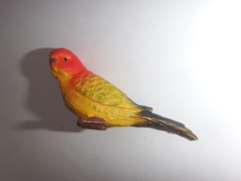 Parakeet  mini