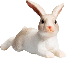 Rabbit lying  Mojo 387142