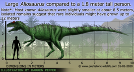 Allosaurus CollectA 88888