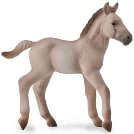 Konik  veulen XL 1:20  CollectA 88918