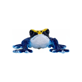 Poison Dart Frog blue    Mojo 381069    june 2025