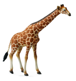 Giraffe  CollectA 88534
