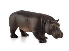 Hippopotamus  Mojo 387104
