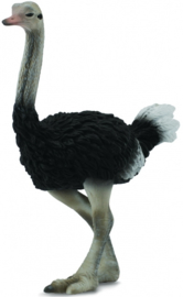 Ostrich CollectA 88459