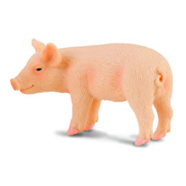 PigletCollectA 88063