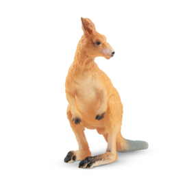 Kangaroo  standing  Toymany