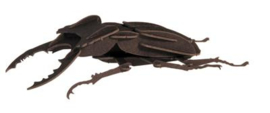 Stag beetle 3D paper model