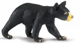 Black Bear Cub  S273629