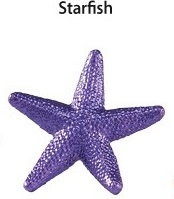 Starfish  mini