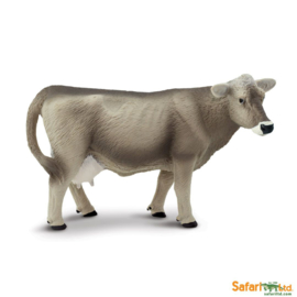 Brown-Swiss cow S161529
