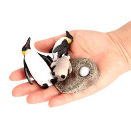 Penguin lifecycle