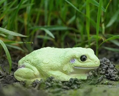 Australian green tree frog  Toymany