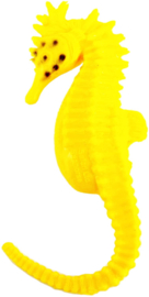 Seahorse  mini Safari