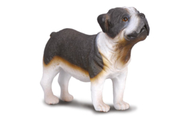 Bulldog  CollectA 88179