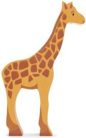 Giraffe (TLT)