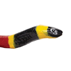 Coral Snake S 257429