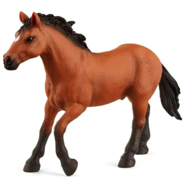 Appaloosa Stallion (Exclusive) Schleich 72152