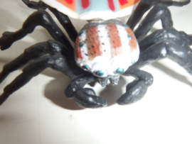 Pauwstaart Springspin   Maratus volans