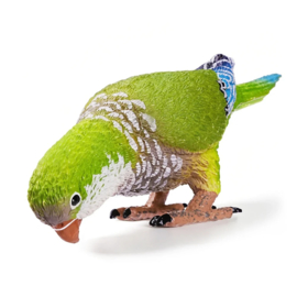 Monniksparkiet