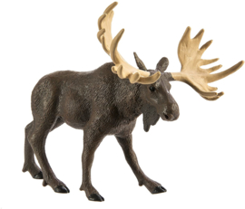 Moose Bull   S290029