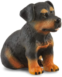 Rottweiler puppy CollectA 88190