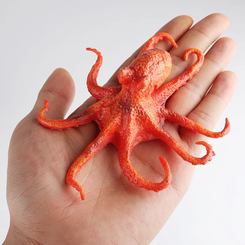 Octopus