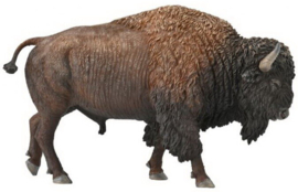 Bison Bizon  CollectA 88968