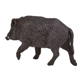 Wild boar  Mojo 387160