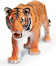 Tiger   XXL  S111389