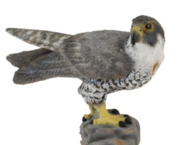 Peregrine Falcon    CollectA 88399