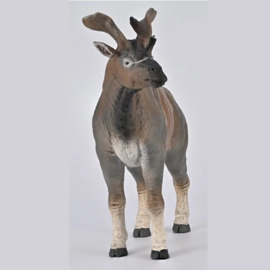 Sivatherium Giganteum  CollectA 80069    presale