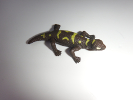 Stump tail lizard (mini)
